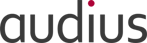 audius | IT-Dienstleistungen & Software für Unternehmen